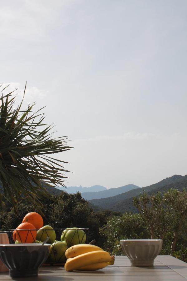 Villa Rosa ฮองกา ภายนอก รูปภาพ
